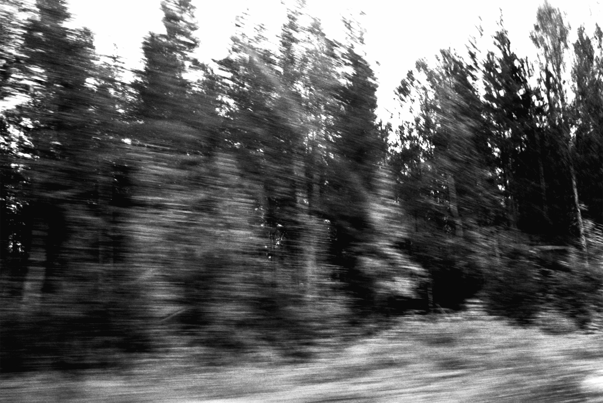 Fibonacci Kinesis — blurred black and white photo of a forest shot from a moving vehicle in northern Sweden, with a disorienting Fibonacci-spiral sense of movement.